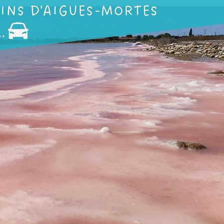 Le Flamant Rose - Cosykaz Apartment Aigues-Mortes Exterior photo